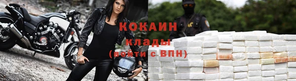 шишки Киреевск