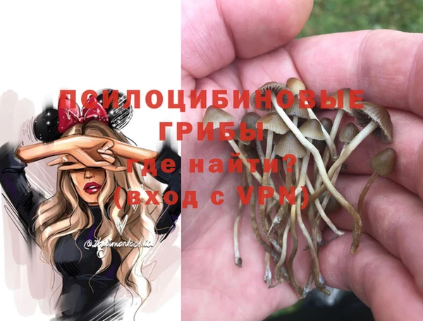 прущий лед Киренск