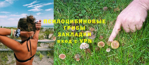 шишки Киреевск