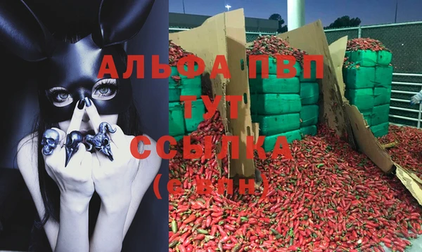 шишки Киреевск