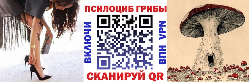 Купить закладки  Шадринск  Галлюциногенные грибы Cubensis 