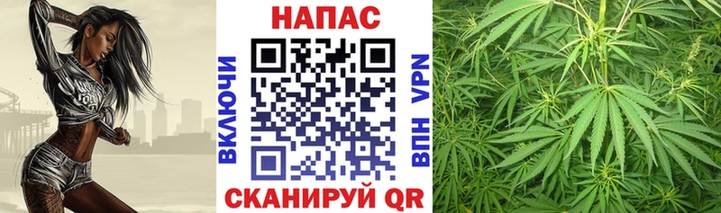 Купить где Шадринск Шишки марихуана ГИДРОПОН